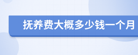 抚养费大概多少钱一个月