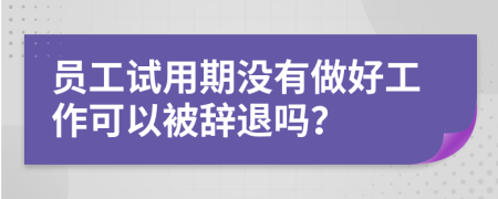 员工试用期没有做好工作可以被辞退吗？