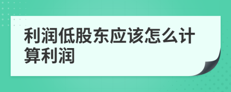 利润低股东应该怎么计算利润