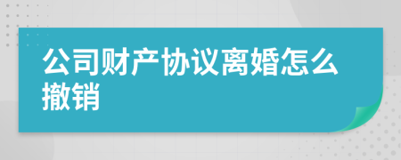 公司财产协议离婚怎么撤销