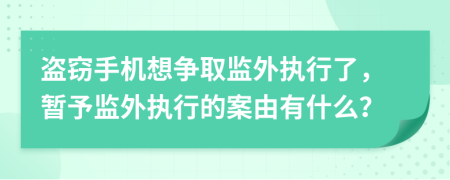 盗窃手机想争取监外执行了，暂予监外执行的案由有什么？