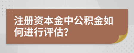 注册资本金中公积金如何进行评估？