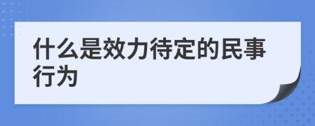 什么是效力待定的民事行为