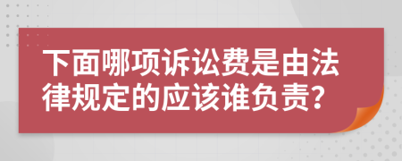 下面哪项诉讼费是由法律规定的应该谁负责？