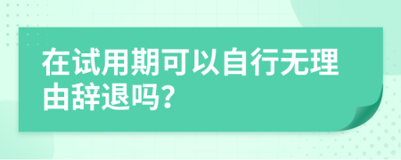 在试用期可以自行无理由辞退吗？