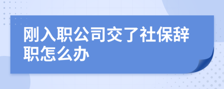 刚入职公司交了社保辞职怎么办