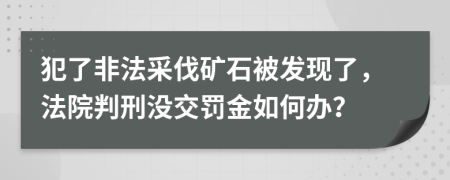 犯了非法采伐矿石被发现了，法院判刑没交罚金如何办？