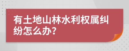 有土地山林水利权属纠纷怎么办？