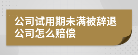 公司试用期未满被辞退公司怎么赔偿