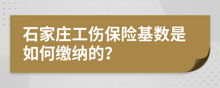 石家庄工伤保险基数是如何缴纳的？