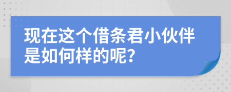 现在这个借条君小伙伴是如何样的呢？