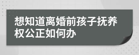 想知道离婚前孩子抚养权公正如何办