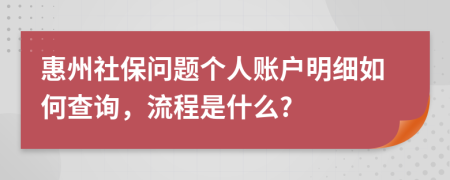 惠州社保问题个人账户明细如何查询，流程是什么?