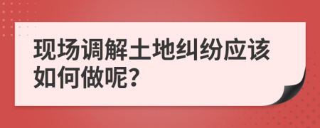 现场调解土地纠纷应该如何做呢？