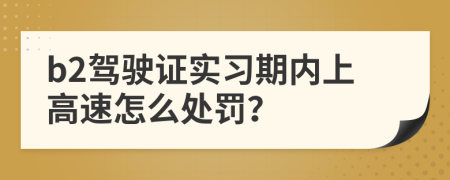 b2驾驶证实习期内上高速怎么处罚？