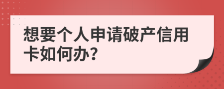 想要个人申请破产信用卡如何办？