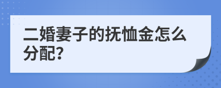 二婚妻子的抚恤金怎么分配？