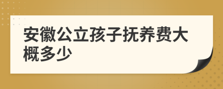 安徽公立孩子抚养费大概多少