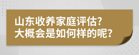 山东收养家庭评估? 大概会是如何样的呢？