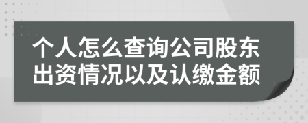 个人怎么查询公司股东出资情况以及认缴金额