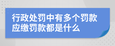 行政处罚中有多个罚款应缴罚款都是什么