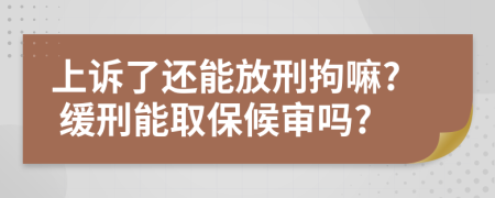 上诉了还能放刑拘嘛? 缓刑能取保候审吗?