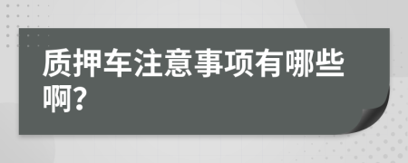 质押车注意事项有哪些啊？