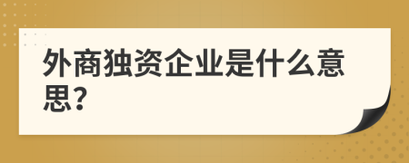 外商独资企业是什么意思？