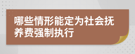 哪些情形能定为社会抚养费强制执行