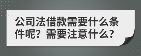 公司法借款需要什么条件呢？需要注意什么？