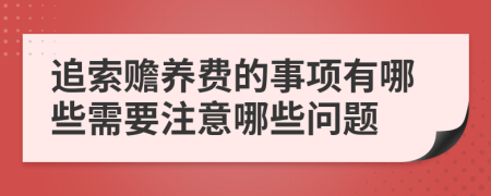 追索赡养费的事项有哪些需要注意哪些问题
