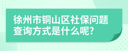 徐州市铜山区社保问题查询方式是什么呢?