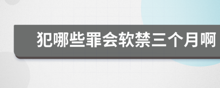 犯哪些罪会软禁三个月啊