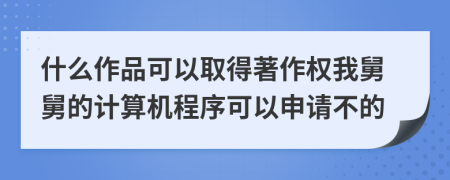 什么作品可以取得著作权我舅舅的计算机程序可以申请不的