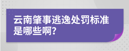 云南肇事逃逸处罚标准是哪些啊？