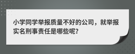 小学同学举报质量不好的公司，就举报实名刑事责任是哪些呢？