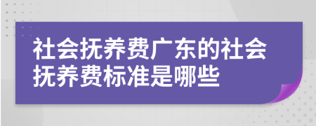 社会抚养费广东的社会抚养费标准是哪些