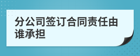 分公司签订合同责任由谁承担