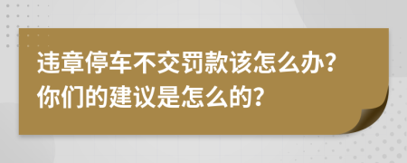 违章停车不交罚款该怎么办？你们的建议是怎么的？