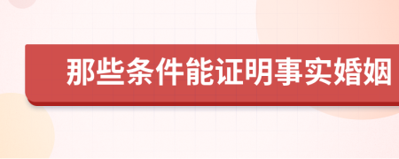 那些条件能证明事实婚姻
