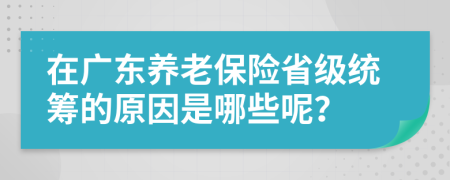 在广东养老保险省级统筹的原因是哪些呢？