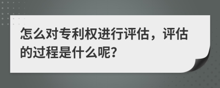 怎么对专利权进行评估，评估的过程是什么呢？