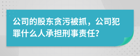 公司的股东贪污被抓，公司犯罪什么人承担刑事责任？