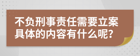 不负刑事责任需要立案具体的内容有什么呢？