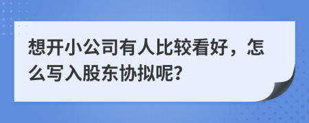 想开小公司有人比较看好，怎么写入股东协拟呢？