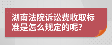 湖南法院诉讼费收取标准是怎么规定的呢？