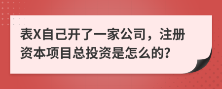 表X自己开了一家公司，注册资本项目总投资是怎么的？