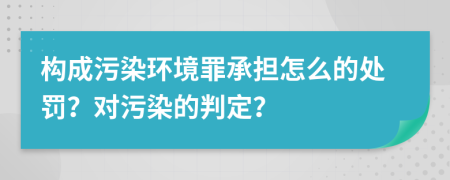 构成污染环境罪承担怎么的处罚？对污染的判定？