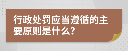 行政处罚应当遵循的主要原则是什么？