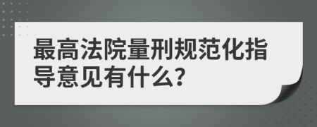 最高法院量刑规范化指导意见有什么？